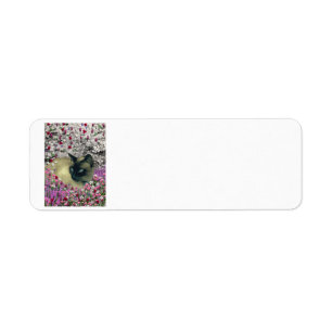 Stella in Flowers I – Chocolate Cream Siamese Ca Return Address Label