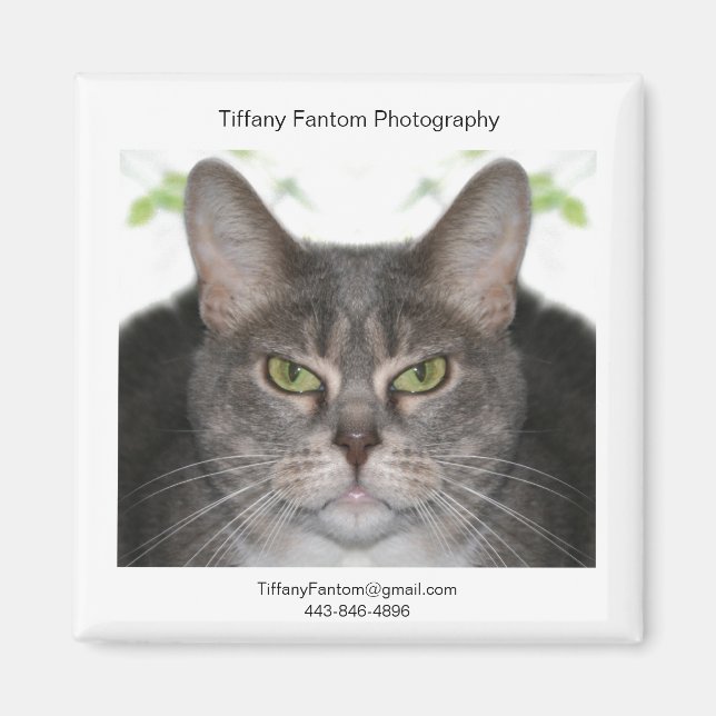 Stella Promo Magnet (Front)