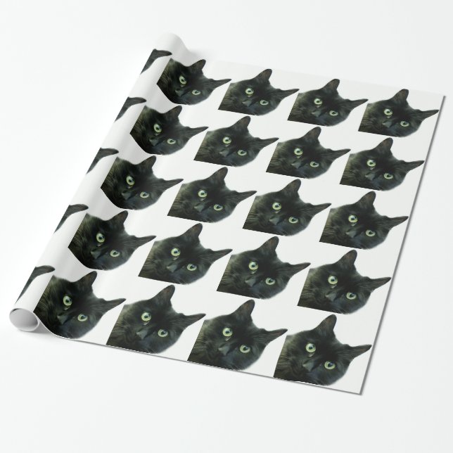 Stella Wrapping Paper (Unrolled)