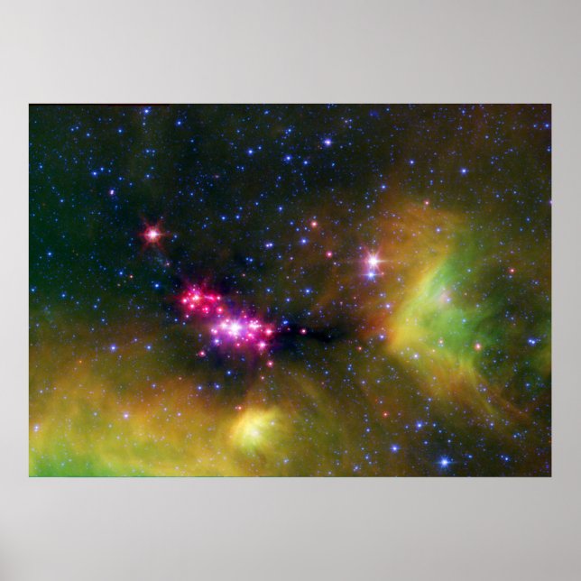 Stellar Babies Poster (Front)