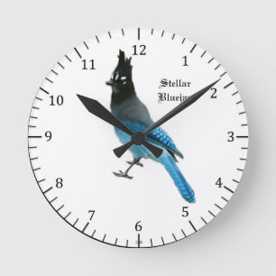 Stellar Blue Jay clock