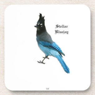 Stellar Blue Jay hard plastic coaster