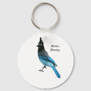 Stellar Blue Jay key chain