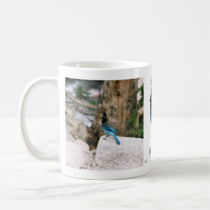 Stellar Blue Jay mug