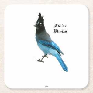 Stellar Blue Jay paper coaster