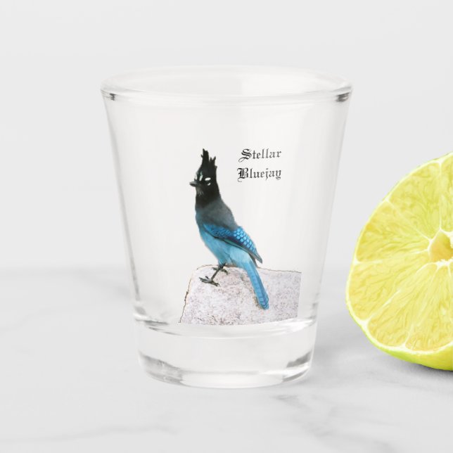 Stellar Blue Jay shot glass (Front)