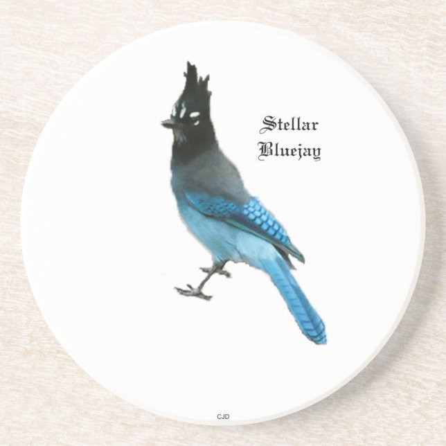 Stellar Blue Jay stanstone coaster (Front)