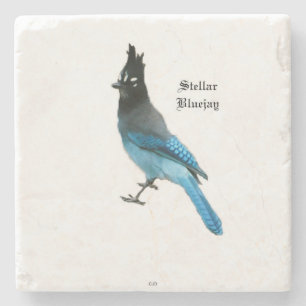 Stellar Blue Jay stone coaster