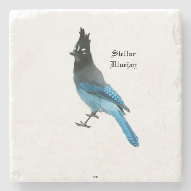 Stellar Blue Jay stone coaster (Front)