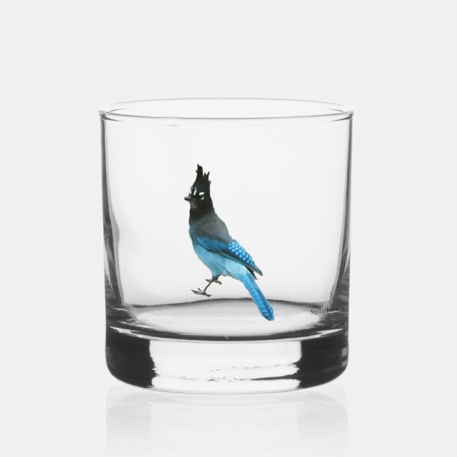 Stellar Bluejay glass (Front)