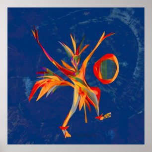 Stellar Dance Poster