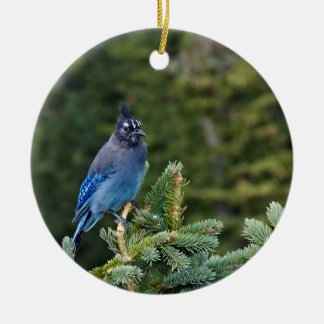 "Stellar Jay" Ceramic Ornament