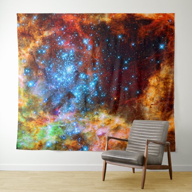 Stellar Nursery, Hubble Space Picture Tapestry (In Situ (Horizontal))