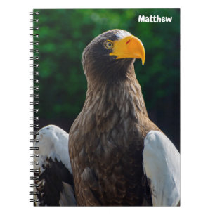 Stellar Sea Eagle Spiral notebook