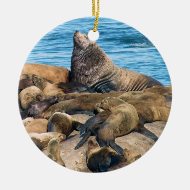 Stellar sea lion and harbour seal ornament (Front)