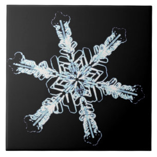 Stellar snow crystal ceramic tile