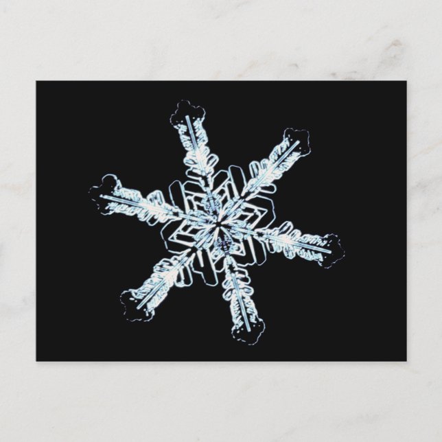 Stellar snow crystal postcard (Front)