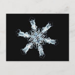 Stellar snow crystal postcard<br><div class="desc">ImageID: 42-23594379 / Richard Walters / Visuals Unlimited/Corbis  / Stellar snow crystal</div>