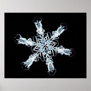 Stellar snow crystal poster