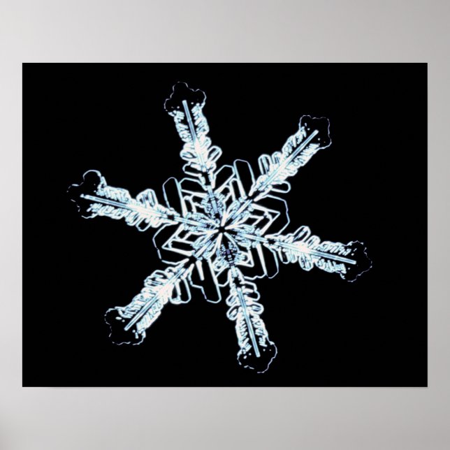 Stellar snow crystal poster (Front)