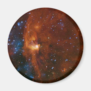 Stellar Star Birth RCW 108 NASA Magnet