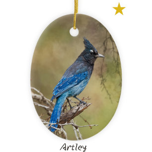 Stellar's Jay Bird Painting Custom Year Christmas Ceramic Ornament