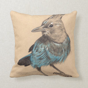 Stellars Jay drawing on toned paper Cushion