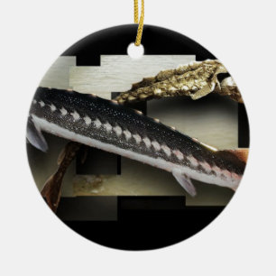 Stellate Sturgeon 3D Collage Ceramic Tree Decoration