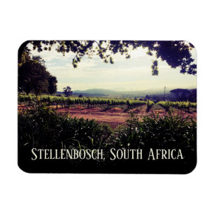 Stellenbosch, South Africa Magnet