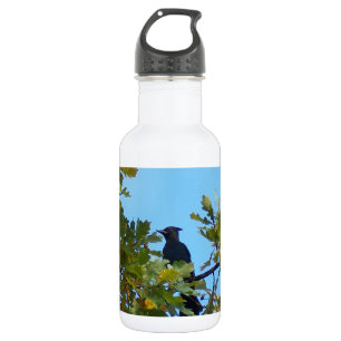 Steller Jay in Oak Tree 532 Ml Water Bottle