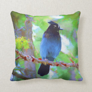 Steller's Jay 2 Painting - Original Bird Art Cushion