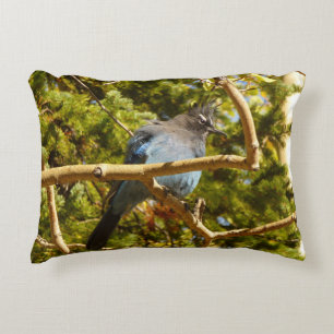 Steller's Jay at Rocky Mountain National Park Decorative Cushion