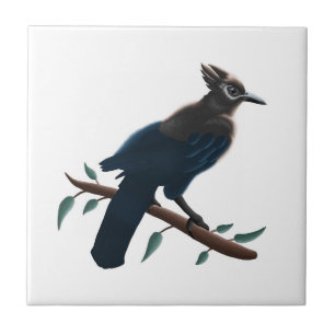 Steller's Jay Ceramic Tile