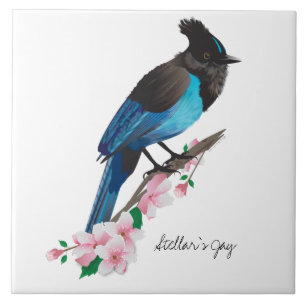Steller's Jay Ceramic Tile