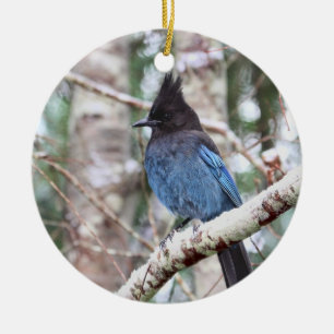 Steller's Jay Ceramic Tree Decoration
