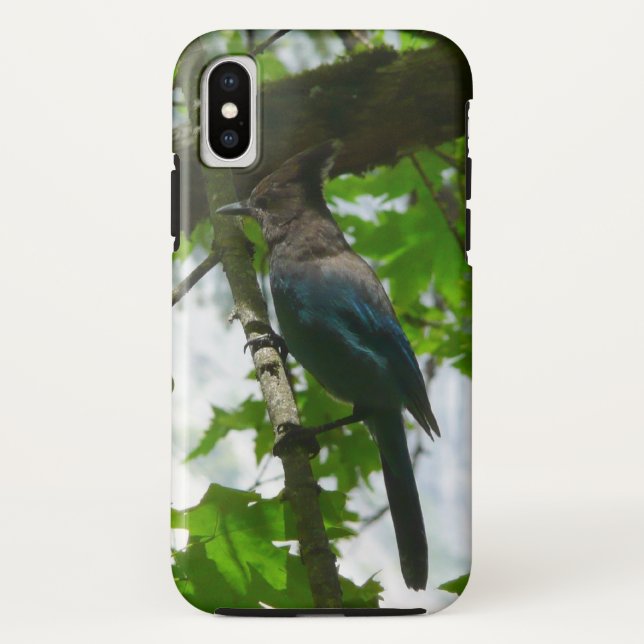Steller's Jay in Yosemite National Park Case-Mate iPhone Case (Back)