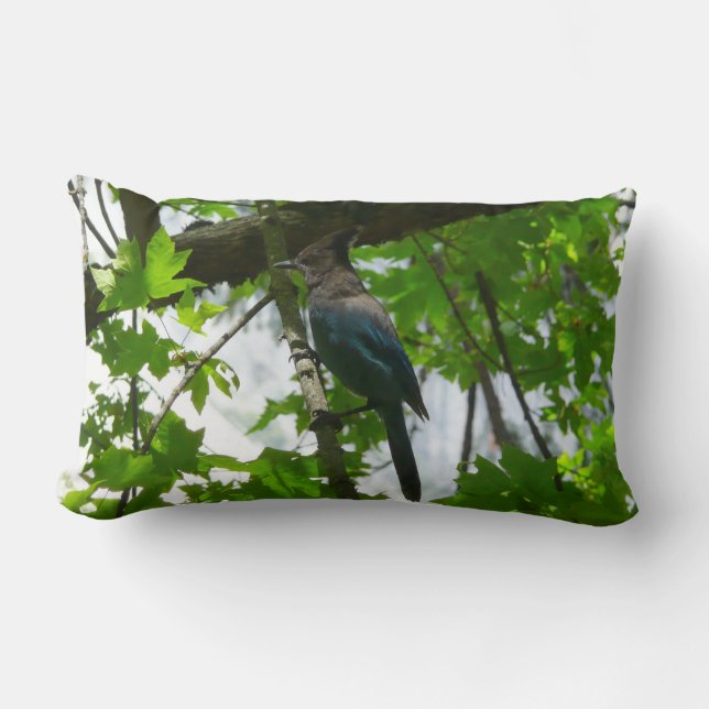 Steller's Jay in Yosemite National Park Lumbar Cushion (Front)
