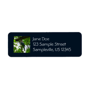 Steller's Jay in Yosemite National Park Return Address Label