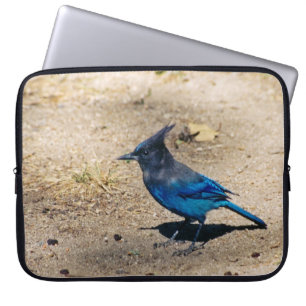 Steller's Jay laptop sleeve