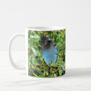 Steller's Jay Mug by BirdingCollectibles