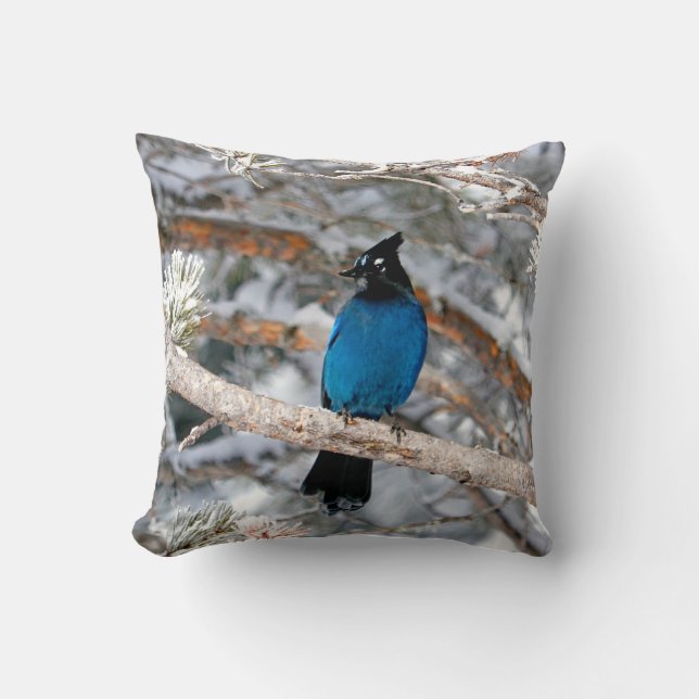 Steller's Jay on a Winter's Day  Cushion (Front)