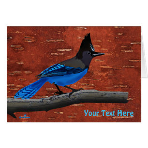 Steller's Jay On Inner Birch Bark
