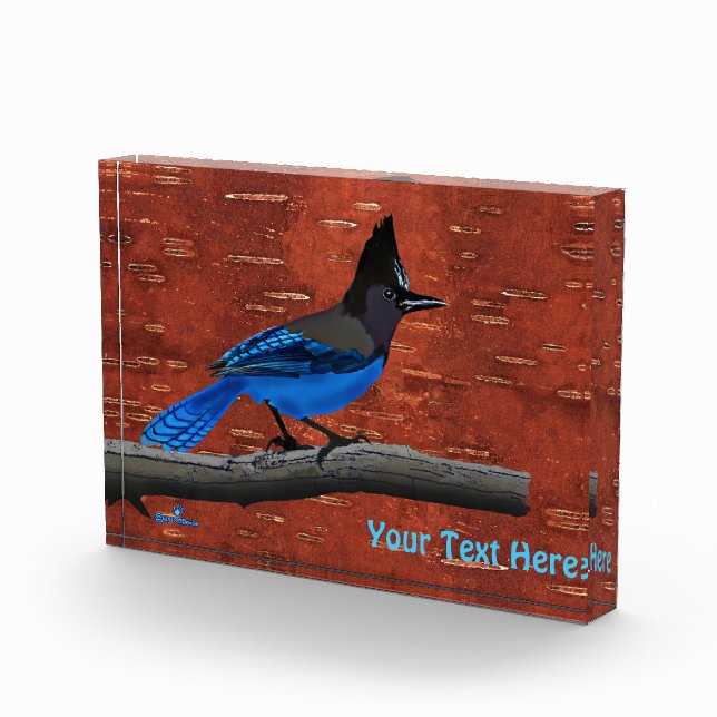 Steller's Jay On Inner Birch Bark Photo Block (Right)