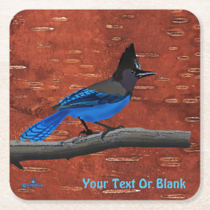 Steller's Jay On Inner Birch Bark Square Paper Coaster