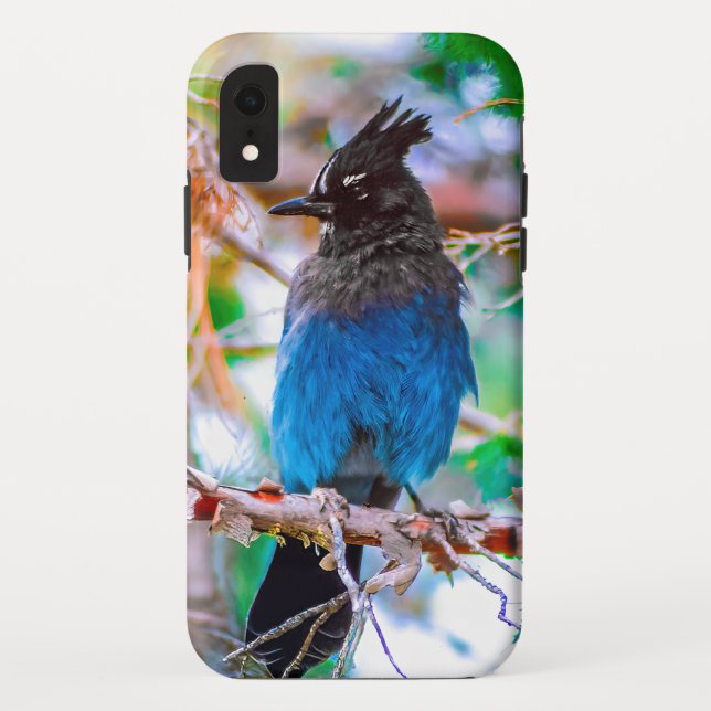 Steller's Jay - Original Photograph Case-Mate iPhone Case (Back)