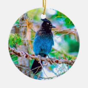 Steller's Jay - Original Photograph Ceramic Ornament