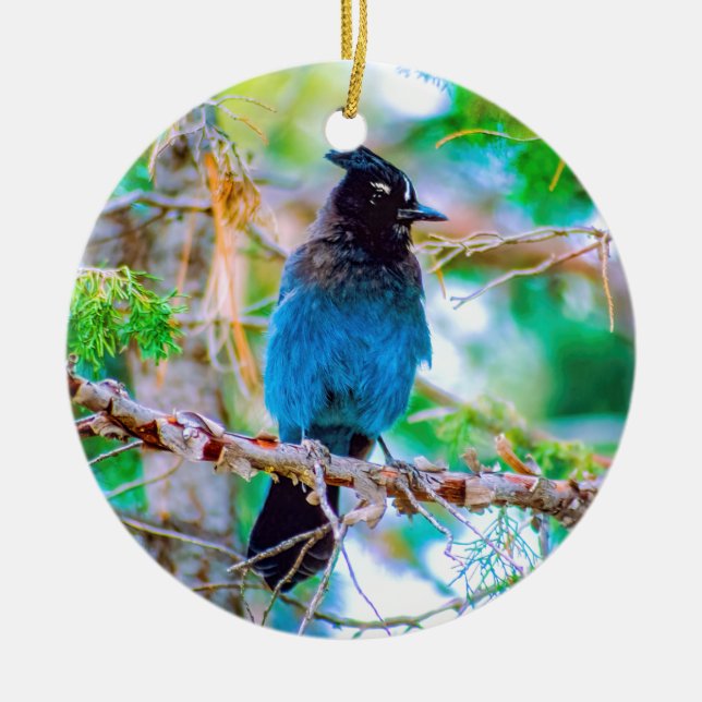 Steller's Jay - Original Photograph Ceramic Ornament (Front)