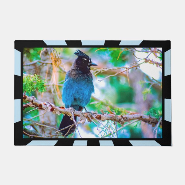 Steller's Jay - Original Photograph Doormat (Front)