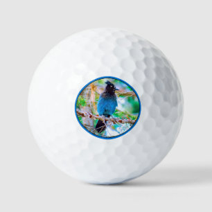 Steller's Jay - Original Photograph Golf Balls