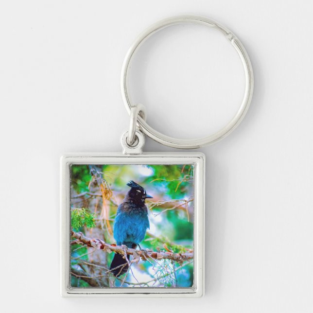 Steller's Jay - Original Photograph Key Ring (Front)